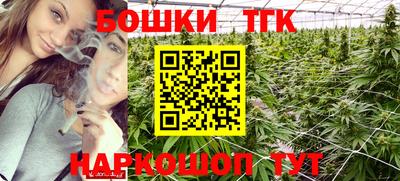 дмт Будённовск