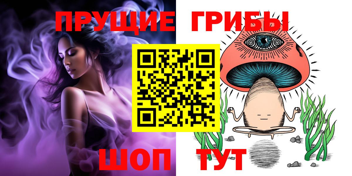 Белогорск  Галлюциногенные грибы прущие грибы  Вход с VPN 